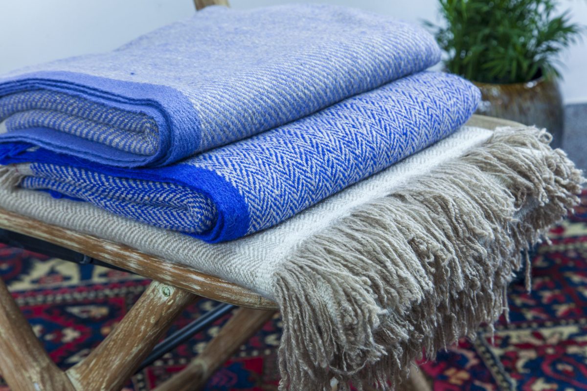 Mot Pashmina Shawl Group - 2